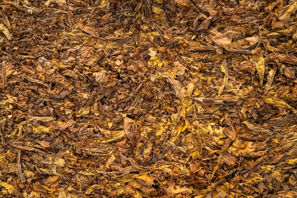Tutun natural tăiat proaspăt